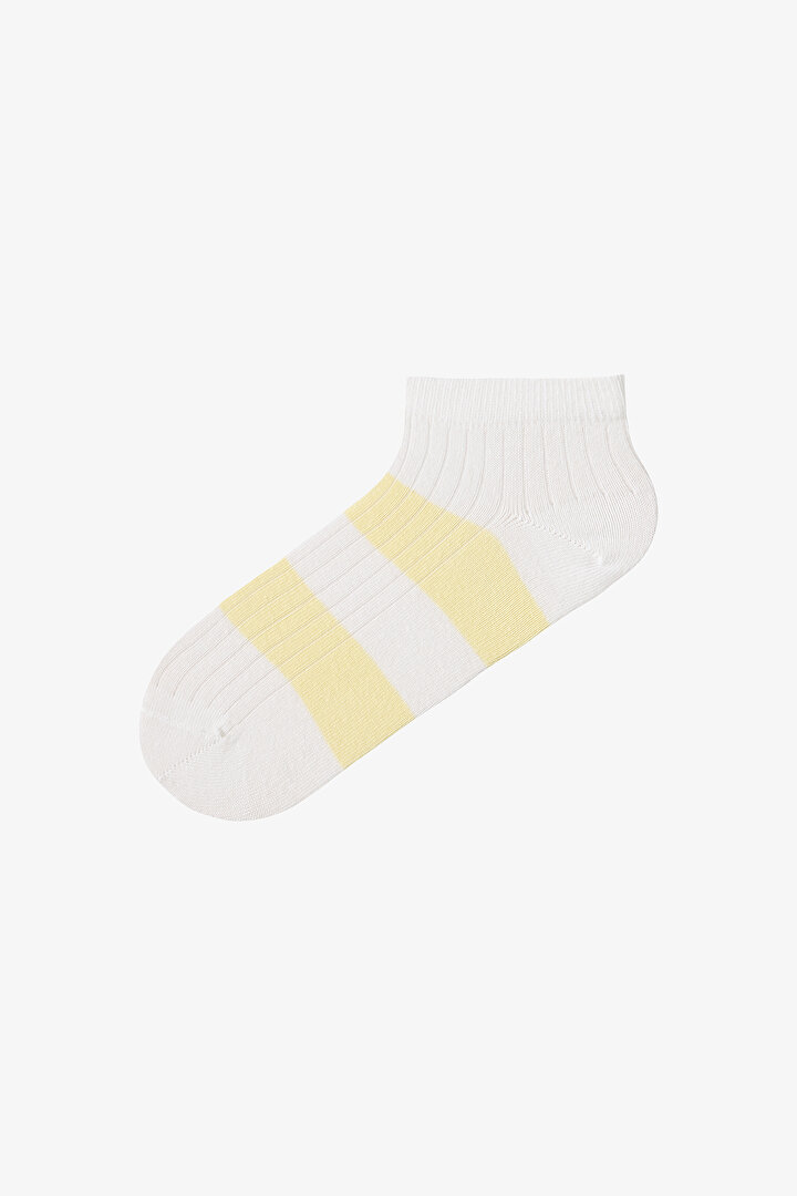 Multicolor Every Color 5in1 Liner Socks - 2