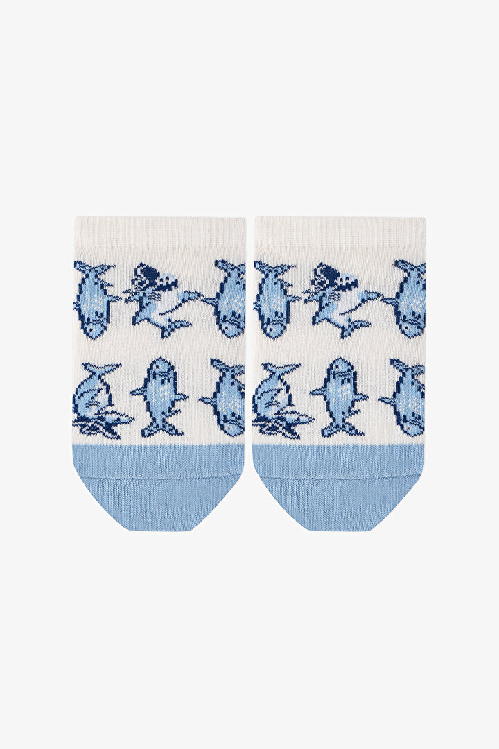 Mavi Erkek Çocuk Captain Shark 4 'lü Patik Çorap - 2