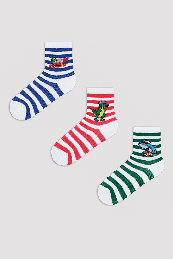 Boys Animal Printed and Striped 3in1 Socket socks - 1