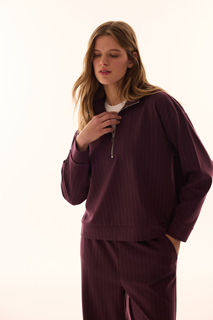 Burgundy Zipped Striped Sweatshirt - 2