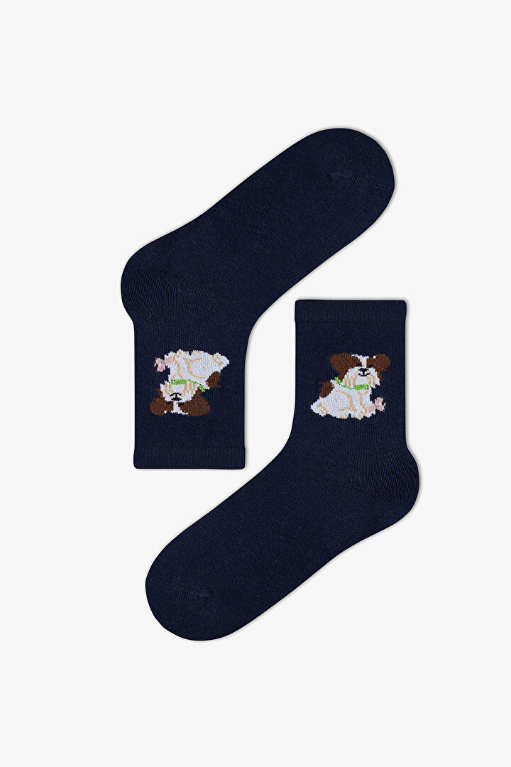Erkek Çocuk Paws&play Köpek Desenli Pamuklu 4 Çift Soket Çorap - 2