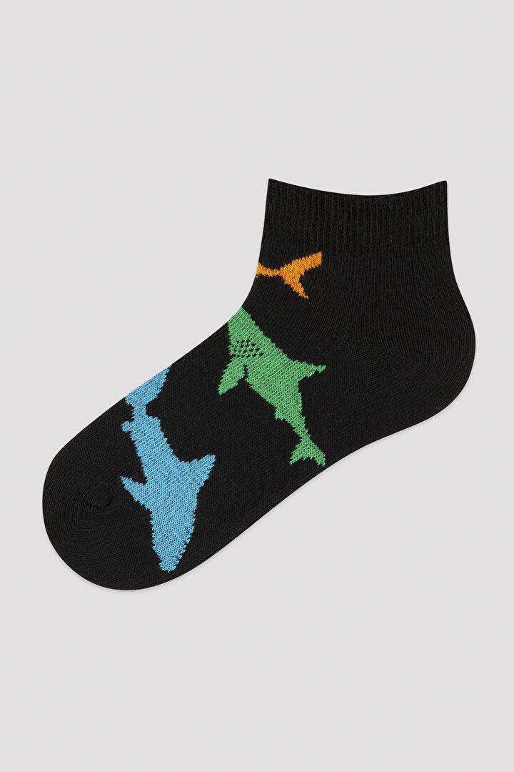 Erkek Çocuk Çizgili Köpek Balığı Patik Çorap - 2