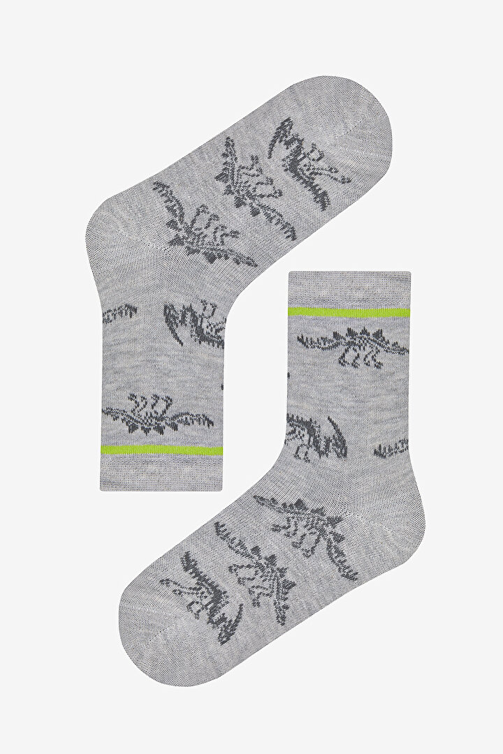 Boys Navy Dino Bordo 4in1 Socket Socks - 2