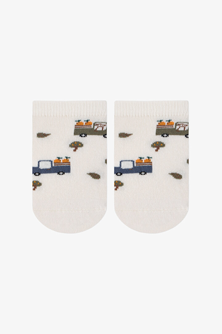 Renkli Erkek Çocuk Fruit Dino 4 'lü Patik Çorap - 2