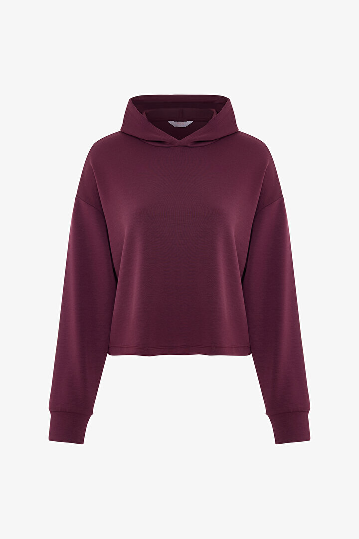 Burgundy Silky Feel Hooded Slogan Printed Sweatshirt - 1