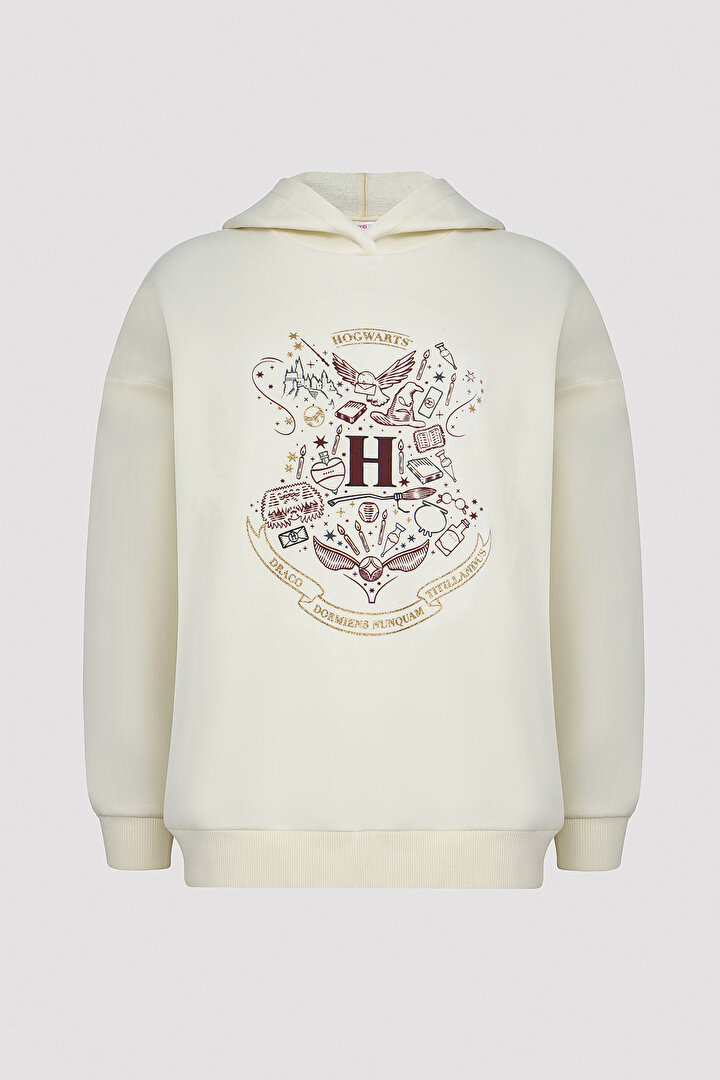 Hogwarts Hoodie Sweatshirt - Harry Potter Collection - 1