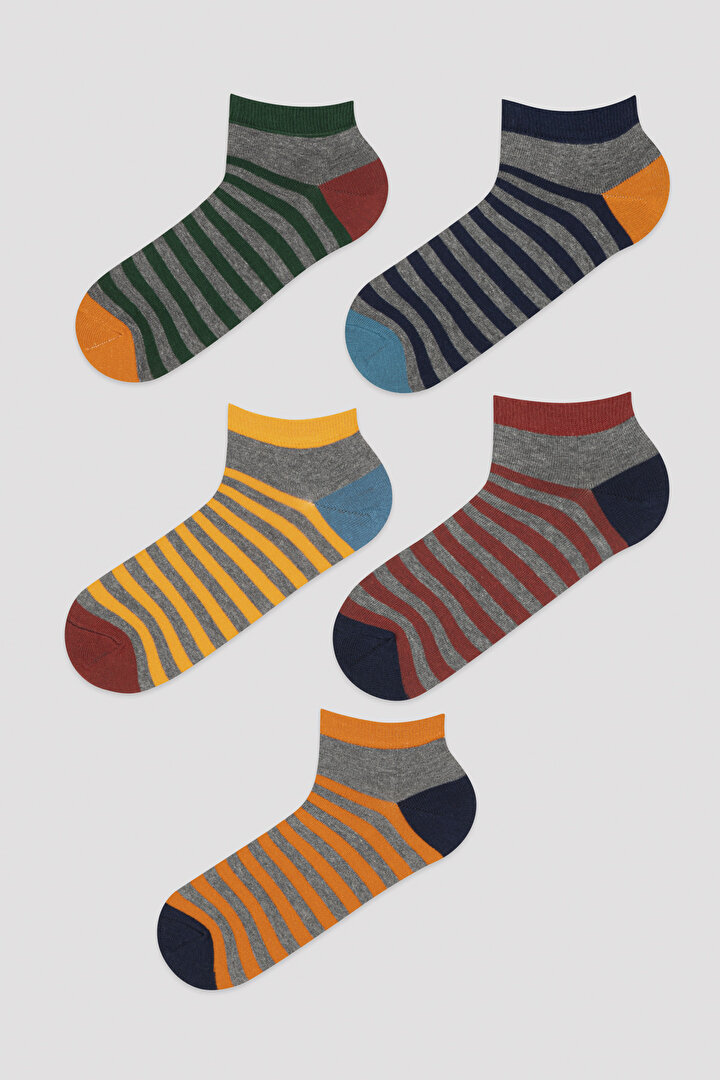 Kül Rengi E. Colour Stripe 5li Patik Çorap - 1
