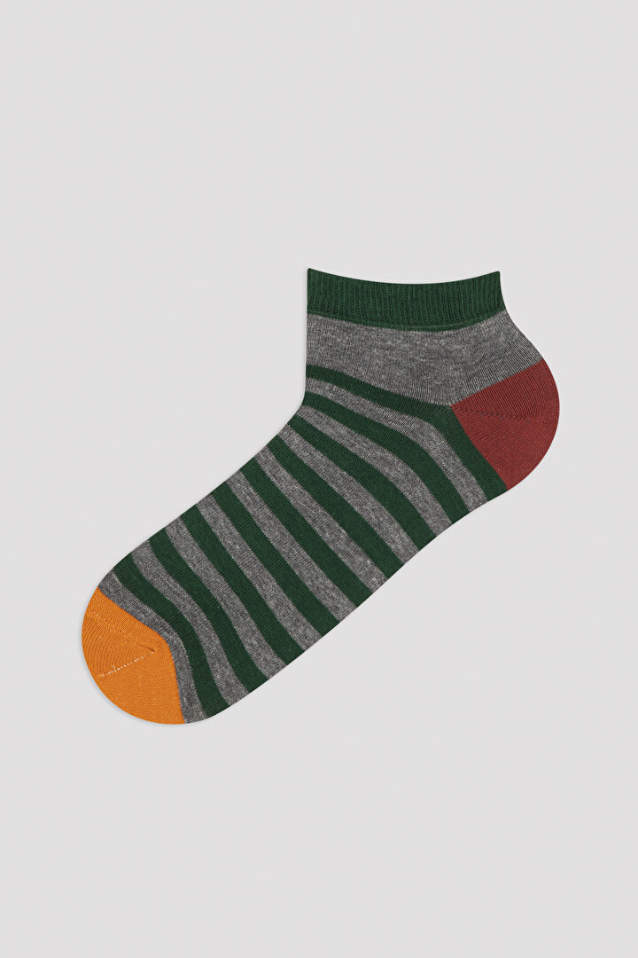 Kül Rengi E. Colour Stripe 5li Patik Çorap - 2