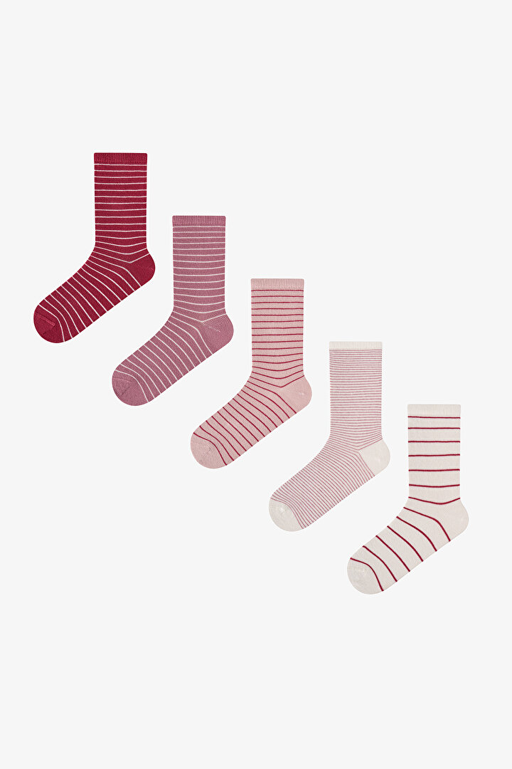 Pembe Bordo Fine Lines Çizgili 5 Çift Soket Çorap - 1