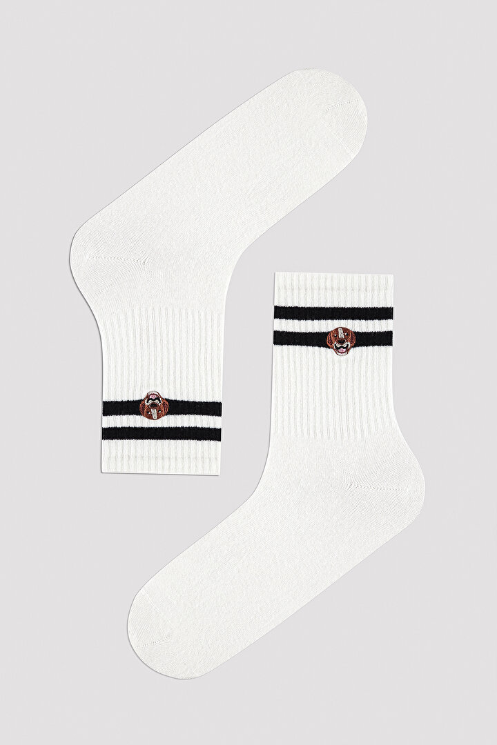 Erkek Köpek Baskılı 2li Soket Çorap - 3