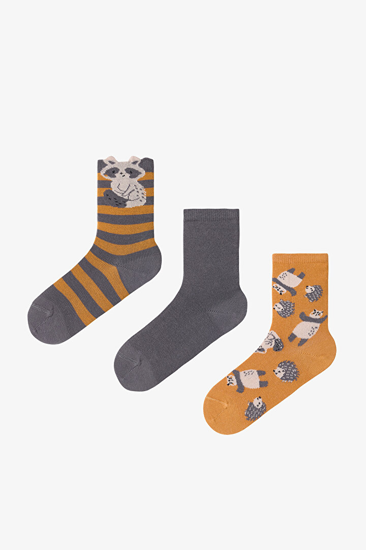 Çok Renkli Erkek Çocuk Animals 3lü Soket Çorap - 1