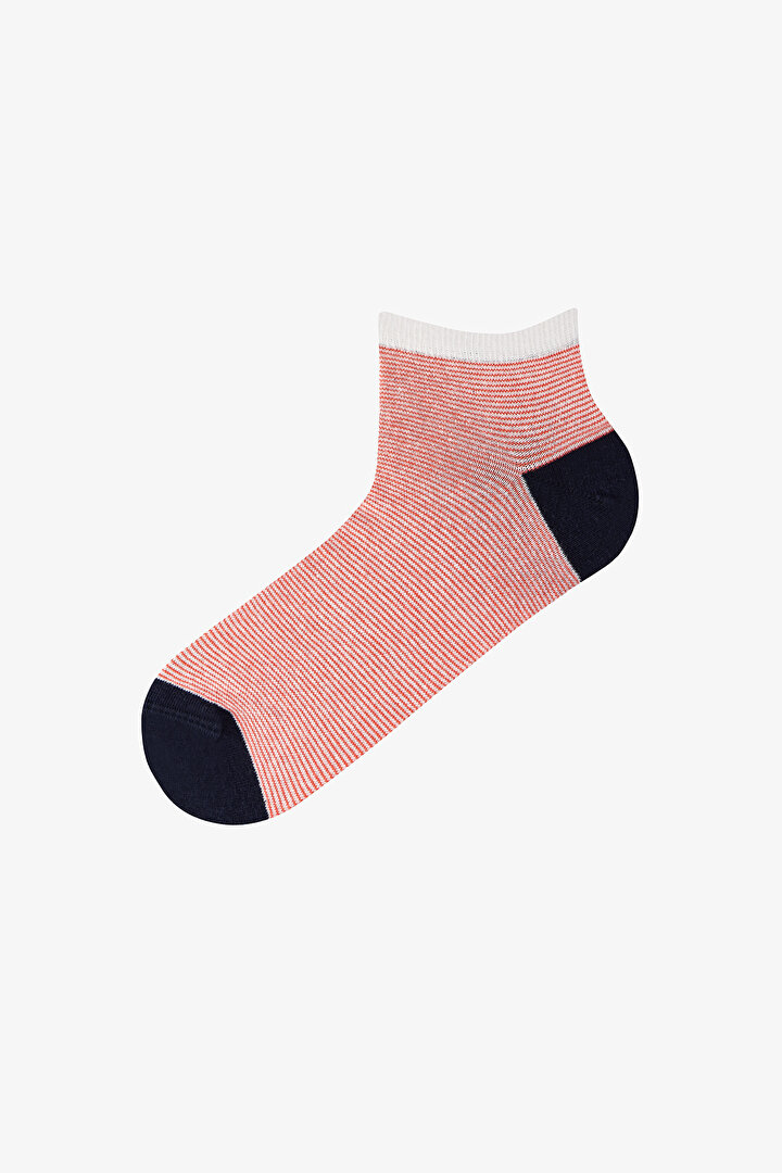 Erkek Renkli Soft Lines 5'li Patik Çorap - 2