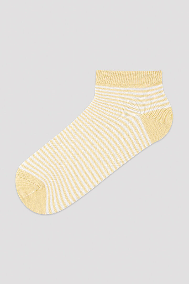 Renkli Çizgili 5li Patik Çorap - 2