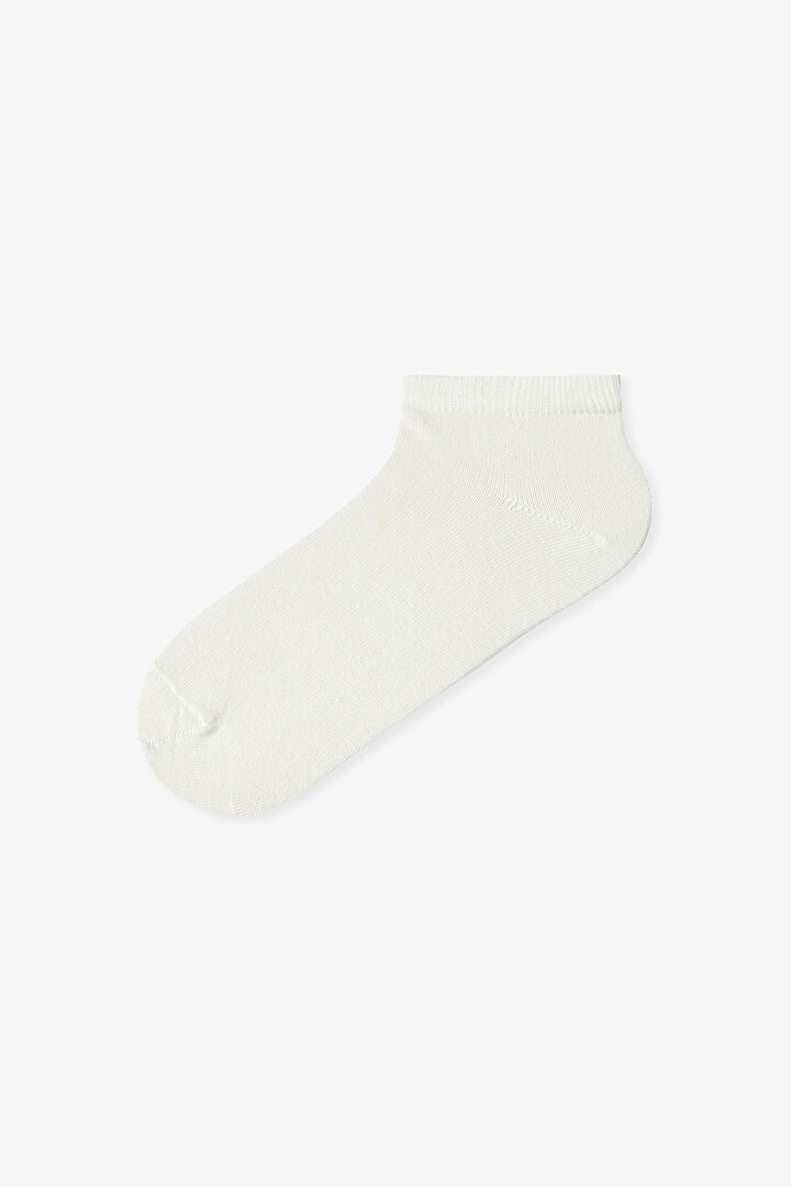 Renklied Thin Stripes 5'li Patik Çorap - 2