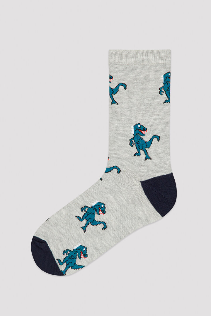 Erkek Çocuk Cool Dino 4Lü Soket Çorap - 2