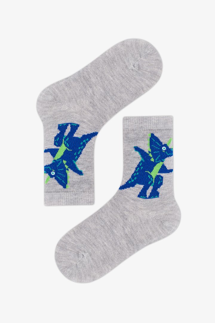 Boys' Dragon Dinosaur Print Cotton 4 Pack Ankle Socks - 2