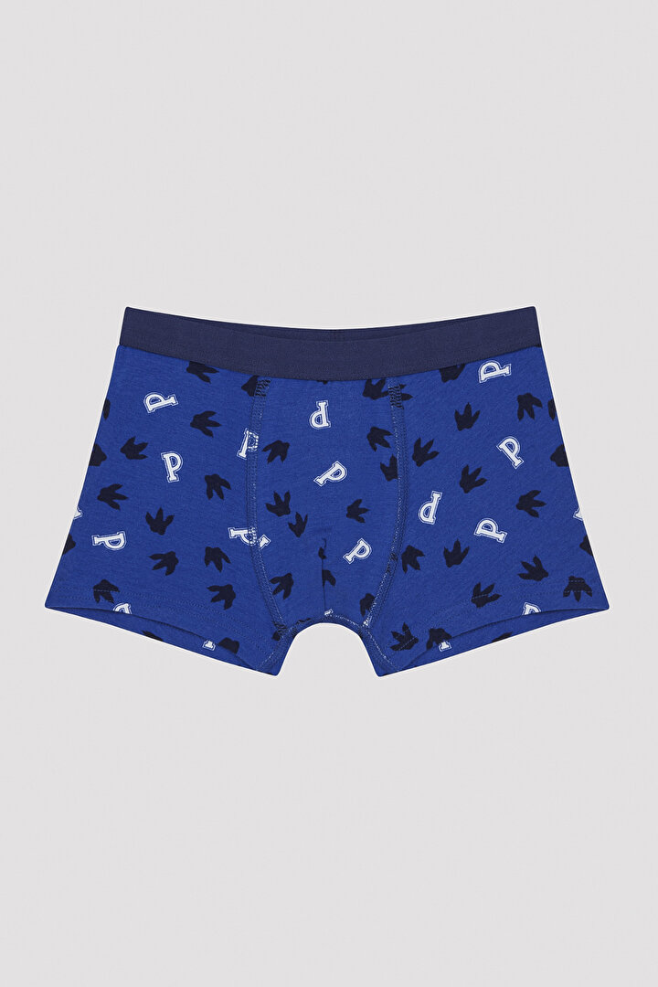 Erkek Çocuk Roar Team 2'li Boxer - 3