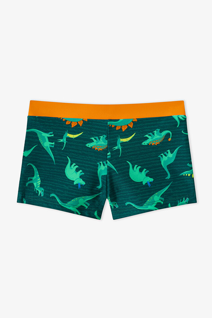 Multicolor Boys Dino Energy Trunk Swimsuit - 1