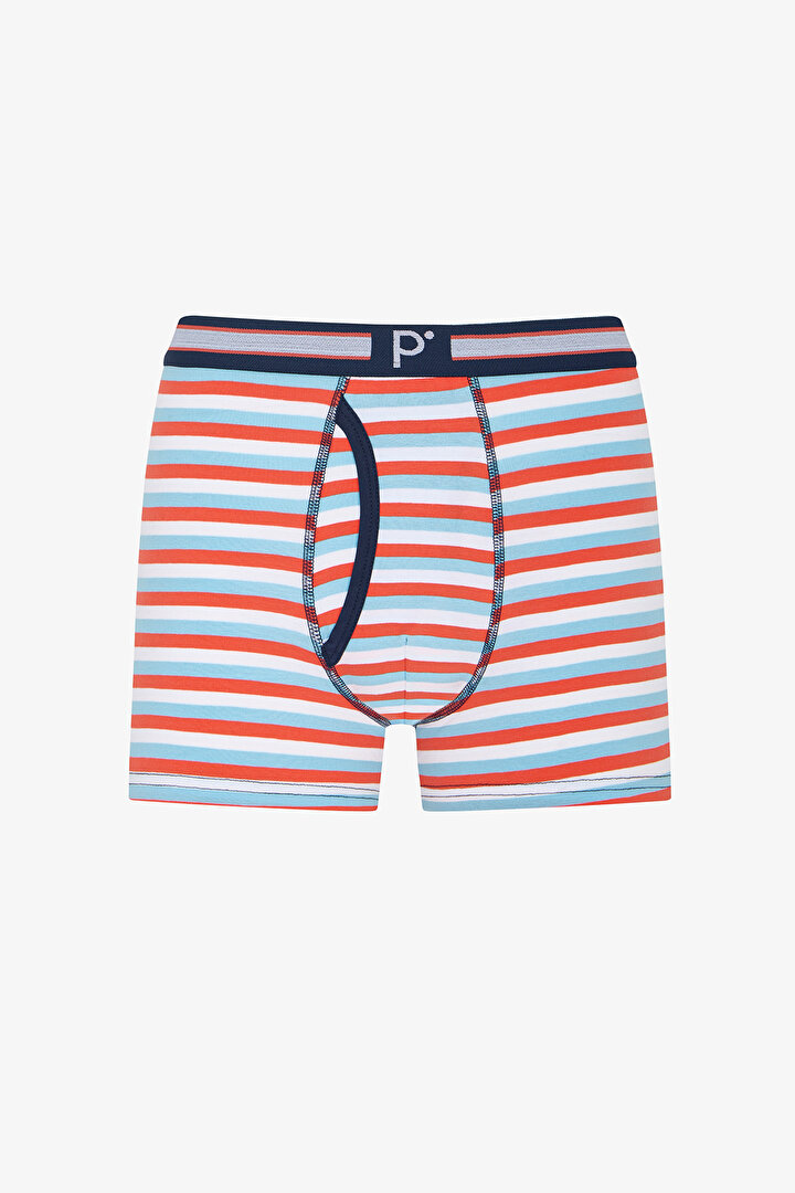 Erkek Renkli Retro Checks Çoklu Boxer - 2