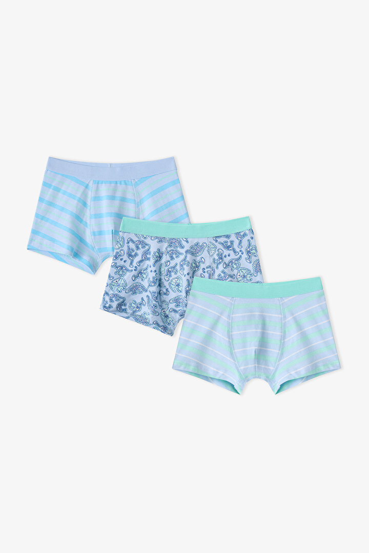 Boys' Blue Dino Bones Striped 3 Pack Boxers - 1
