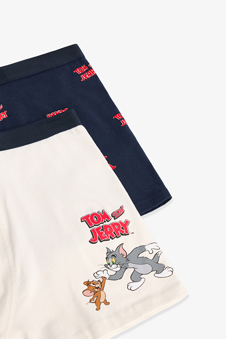 Erkek Jerry 2'li Boxer - 2