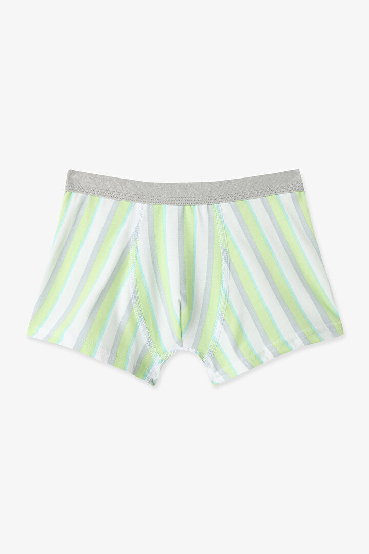 Colorful Boys Dino 3 in1 Boxer - 2