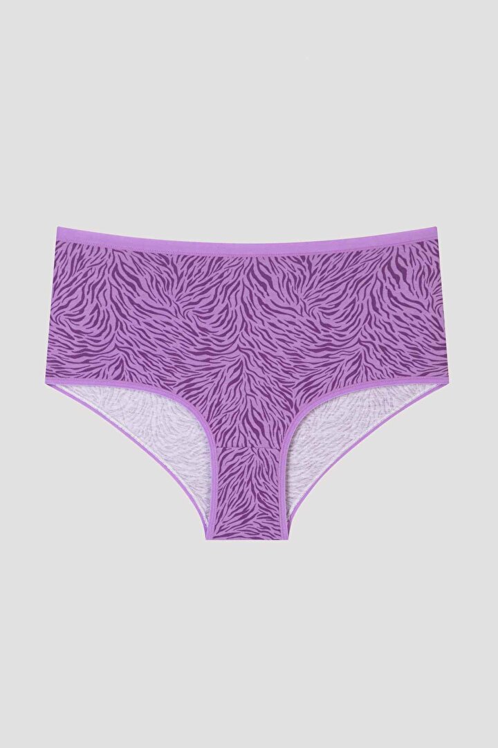 Zebra Desenli 3lü Yüksek Bel Slip Külot - 2