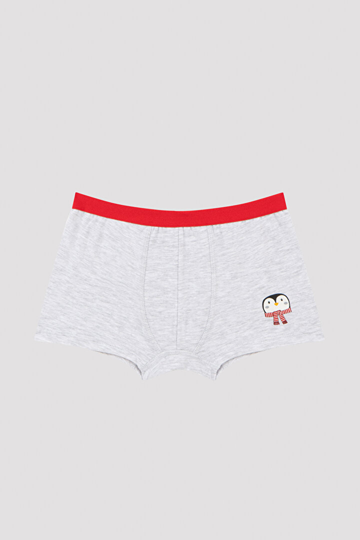 Boys Penguin 2in1 Boxer - 3