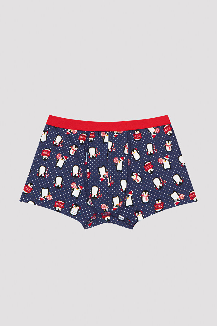 Boys Penguin 2in1 Boxer - 4