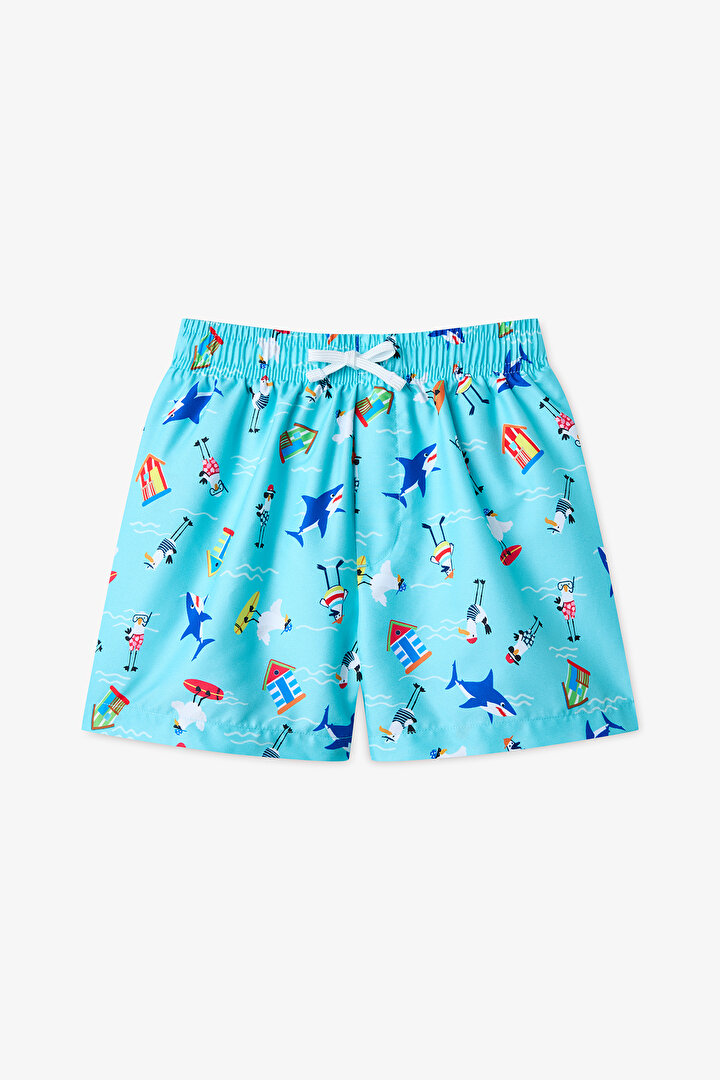 Renkli Erkek Çocuk Seagull Şort Mayo - 1