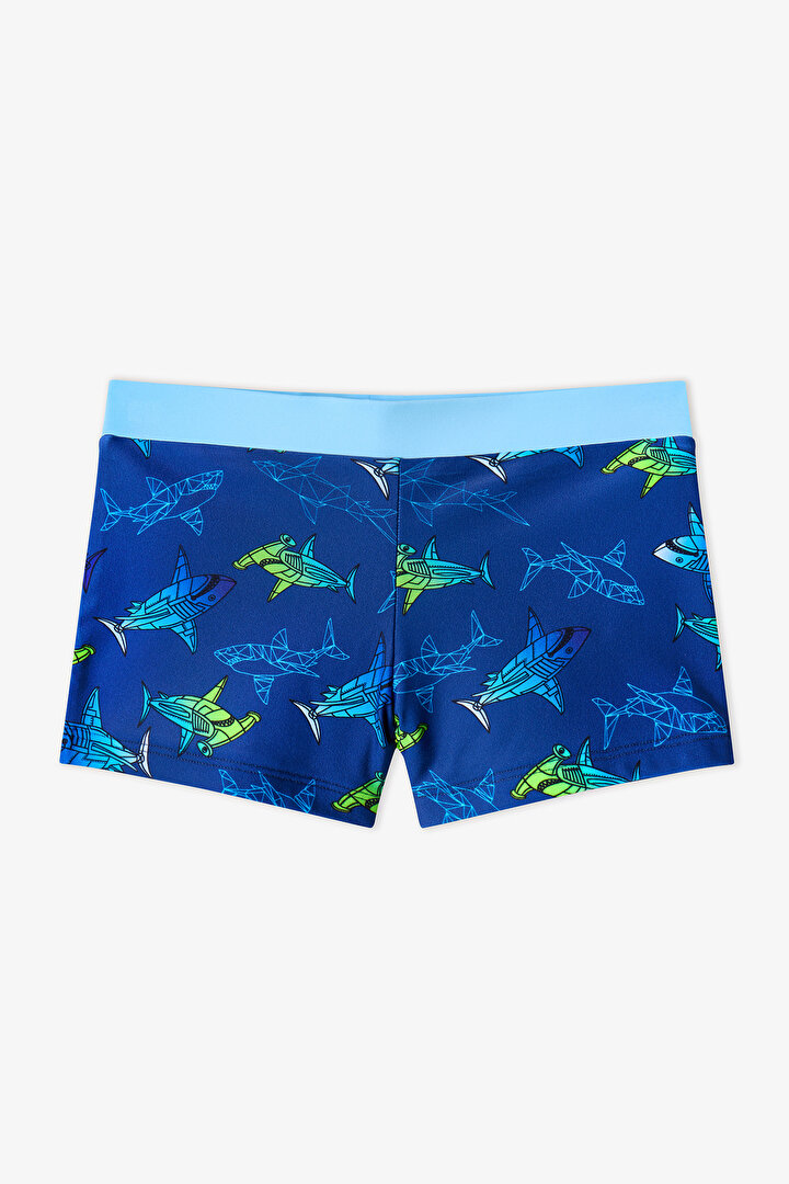 Renkli Erkek Çocuk Gradient Shark Trunk Mayo - 1
