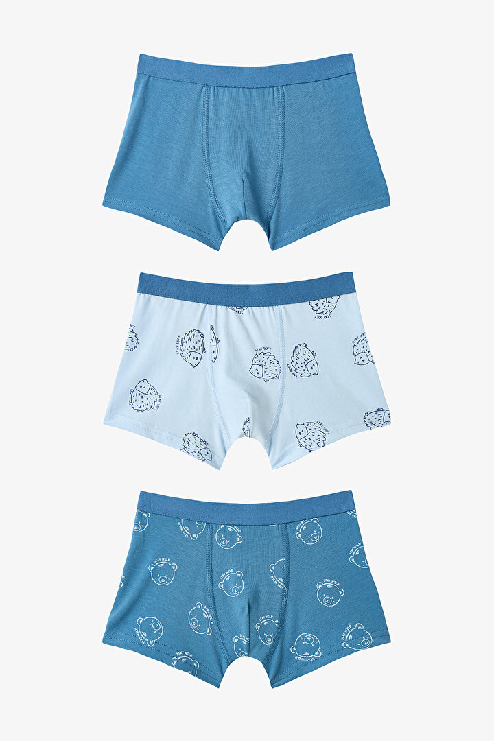 Boys Hedgehog Patterned Cotton 3-Pack Boxer - 1