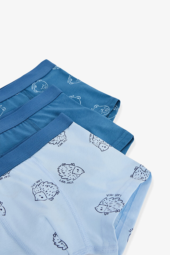 Boys Hedgehog Patterned Cotton 3-Pack Boxer - 2