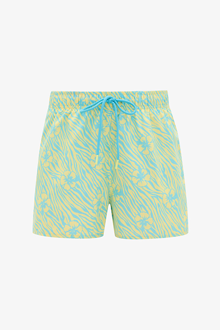 Mint Zebra Shorts - 1