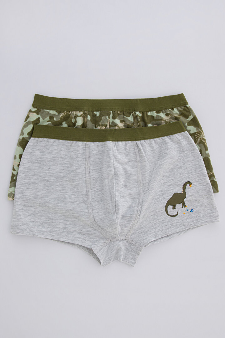 Erkek Çocuk Dino 2li Boxer Külot - 1
