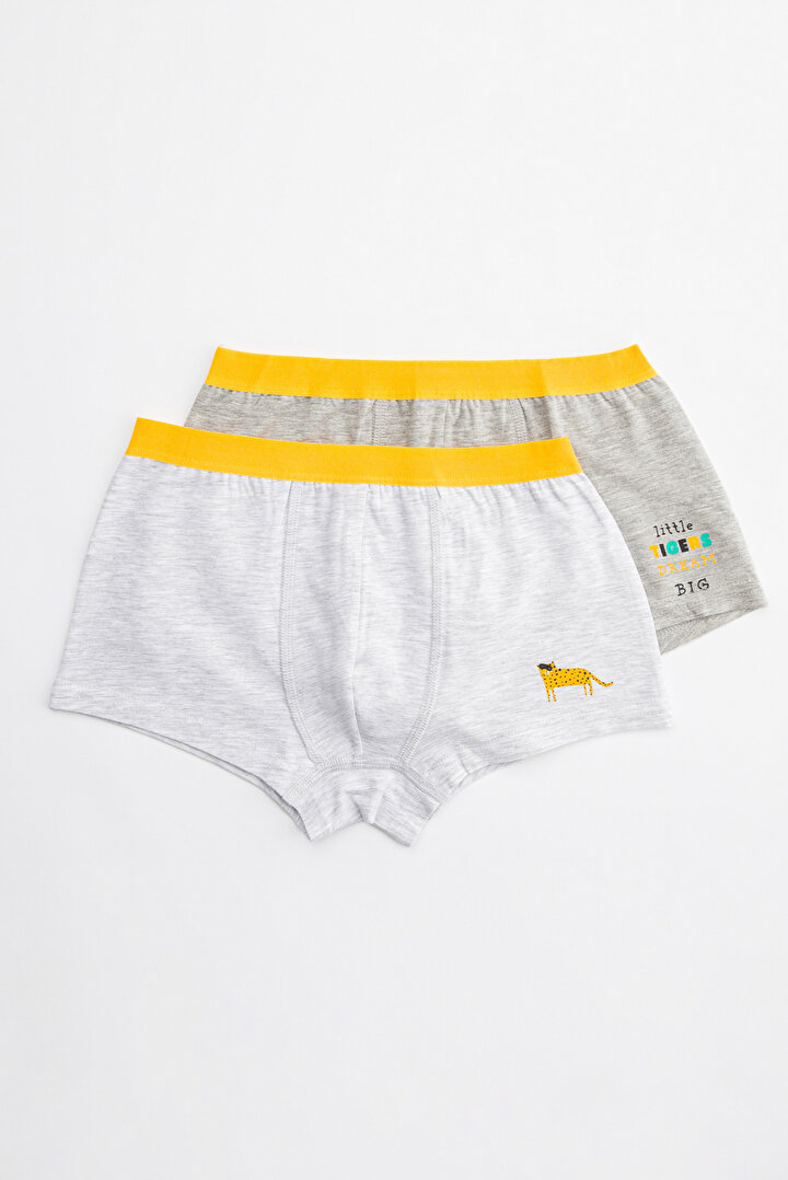Erkek Çocuk Tiger 2Li Boxer Külot - 1