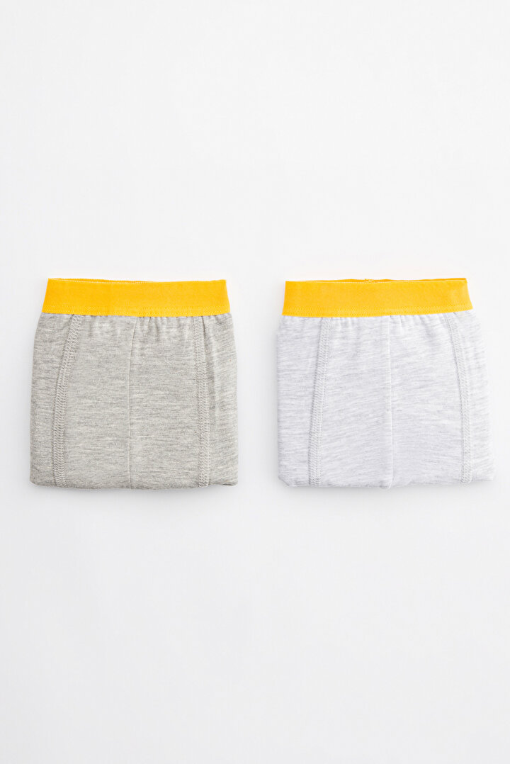 Erkek Çocuk Tiger 2Li Boxer Külot - 2