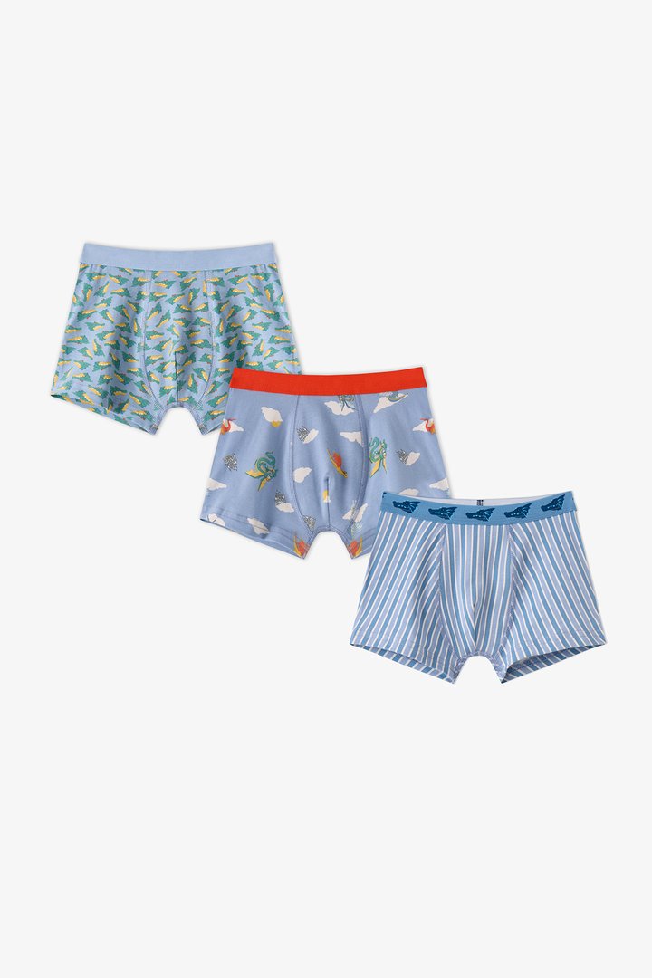 Boys' Blue Soft Dragon Dinosaur Print 3 Pack Boxers - 1