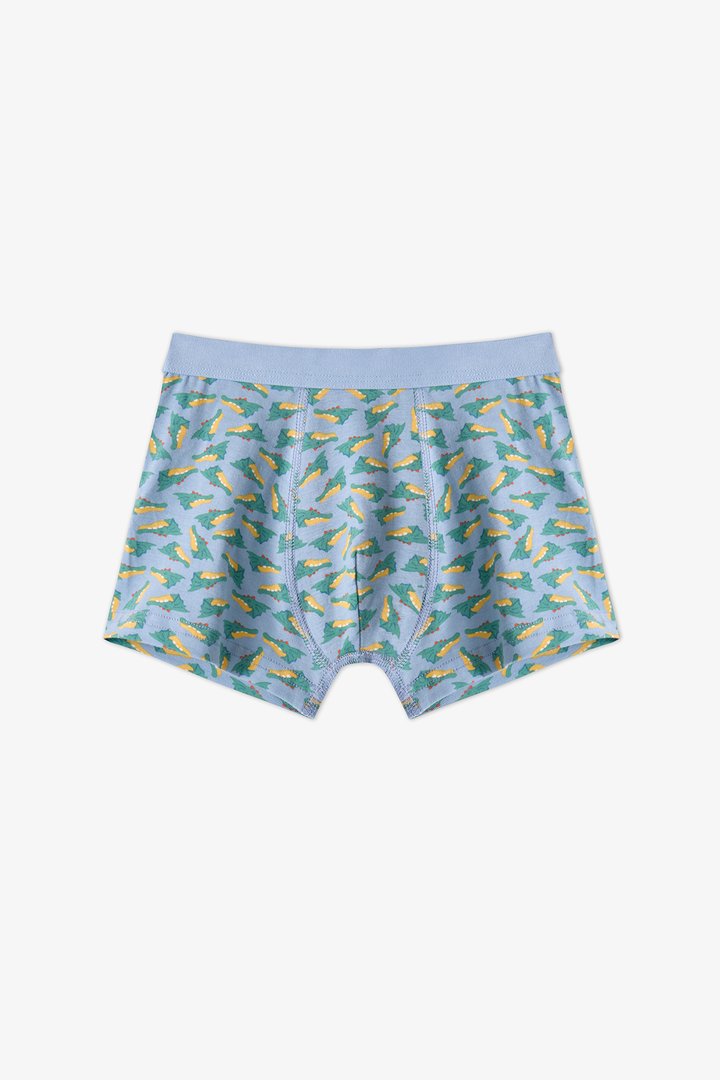 Boys' Blue Soft Dragon Dinosaur Print 3 Pack Boxers - 2