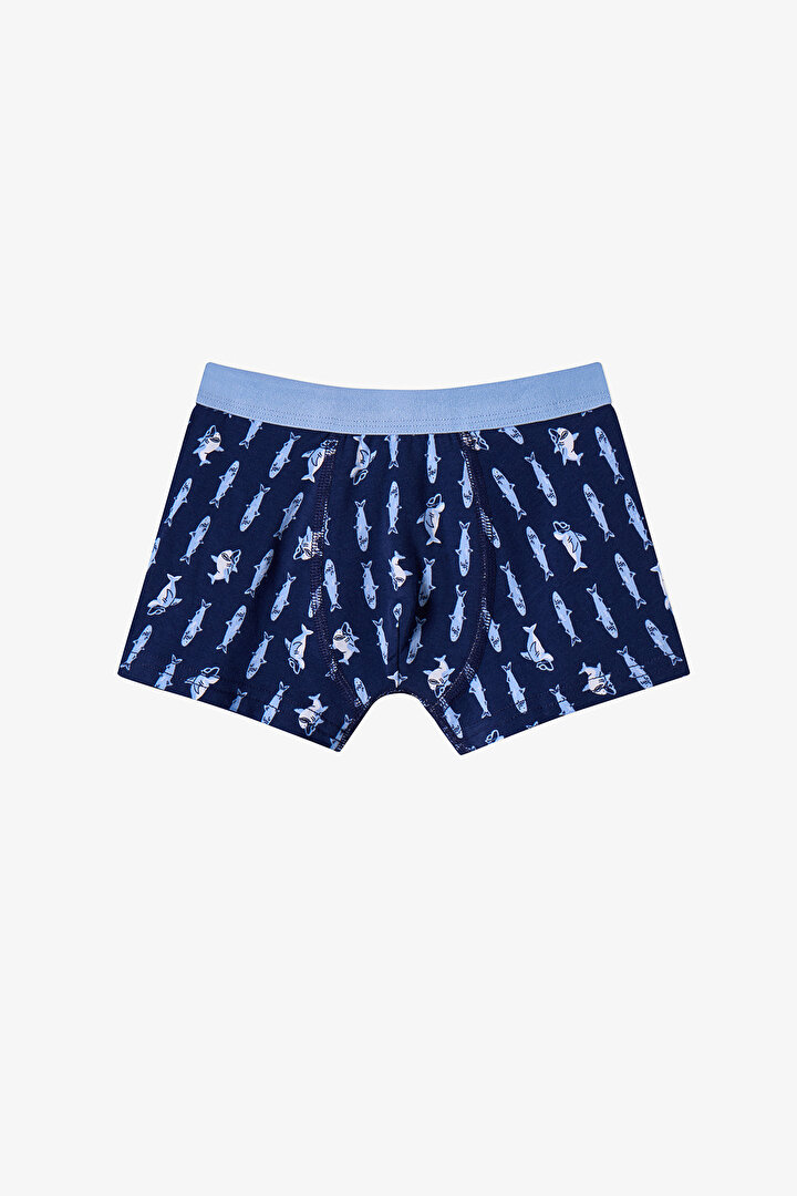 Renkli Erkek Çocuk Sardines 3'lü Boxer - 2