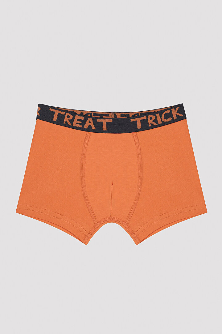 Erkek Çocuk Skeleton 2li Çok Renkli Boxer - 3