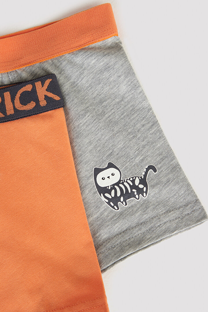 Erkek Çocuk Skeleton 2li Çok Renkli Boxer - 4