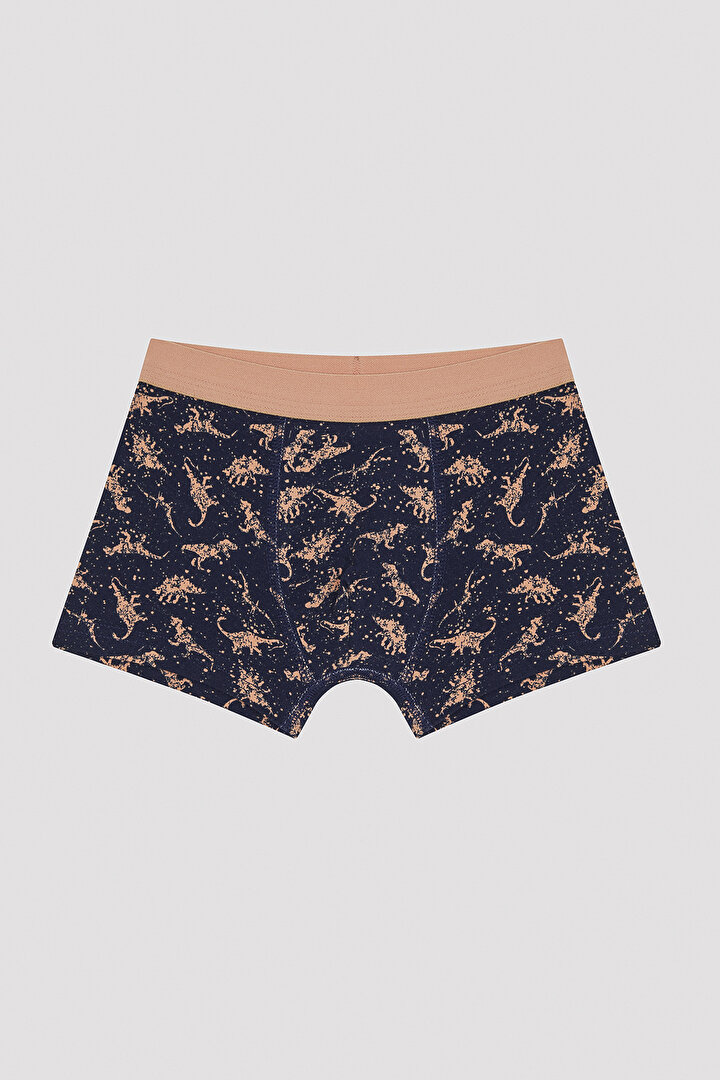 Erkek Çocuk Colorful Dino 2'li Boxer - 3