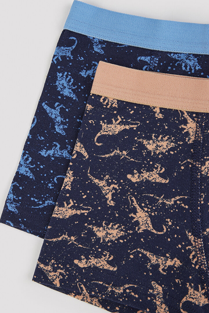 Erkek Çocuk Colorful Dino 2'li Boxer - 4