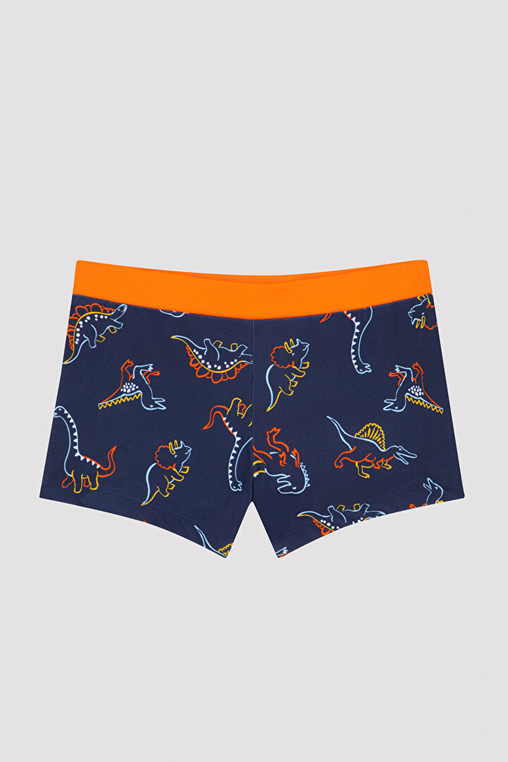 Boys Artsy Dino Trunk Suit - 1