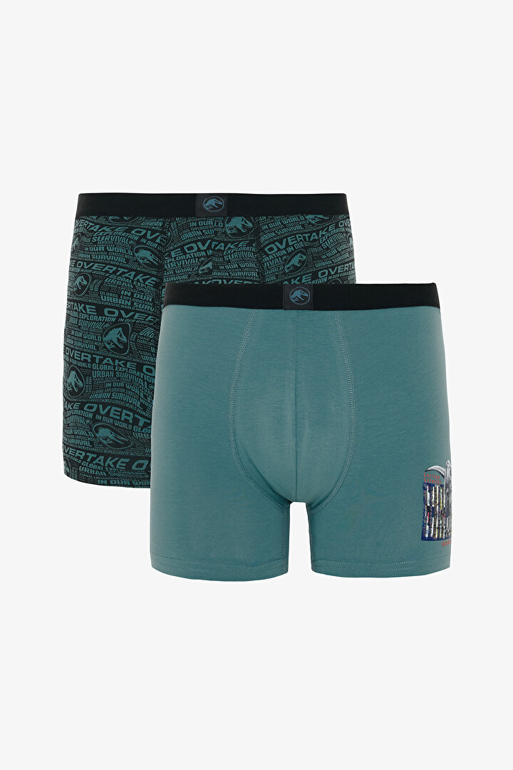 Erkek Jurassic Dinozor Desenli İkili Boxer - 1
