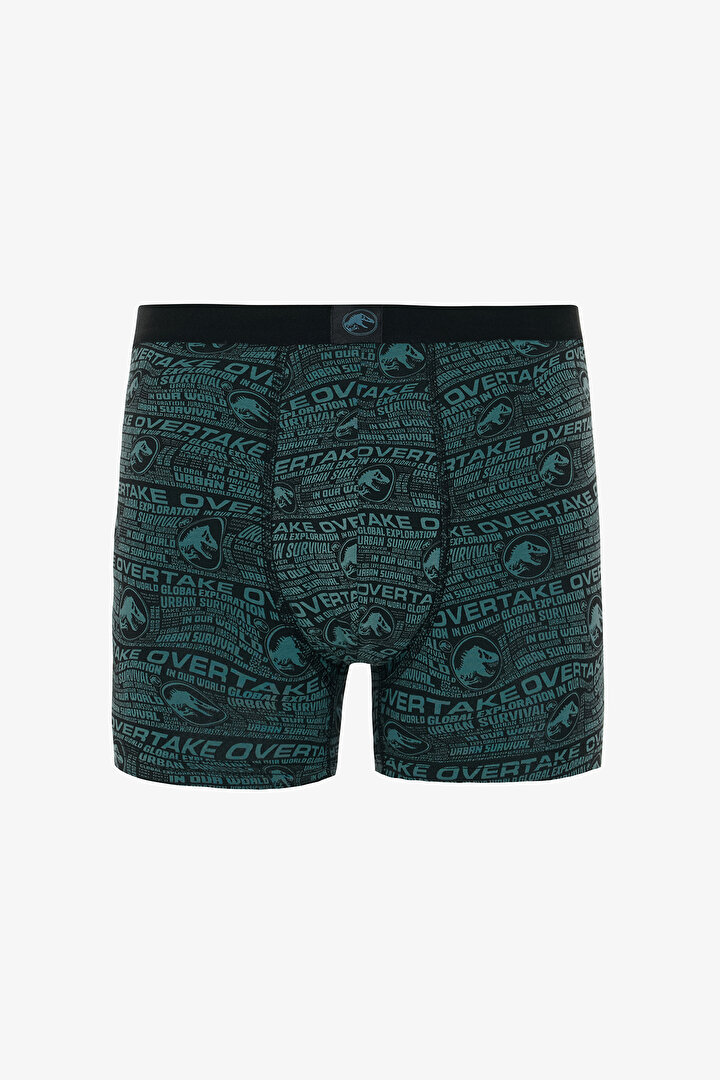 Erkek Jurassic Dinozor Desenli İkili Boxer - 2