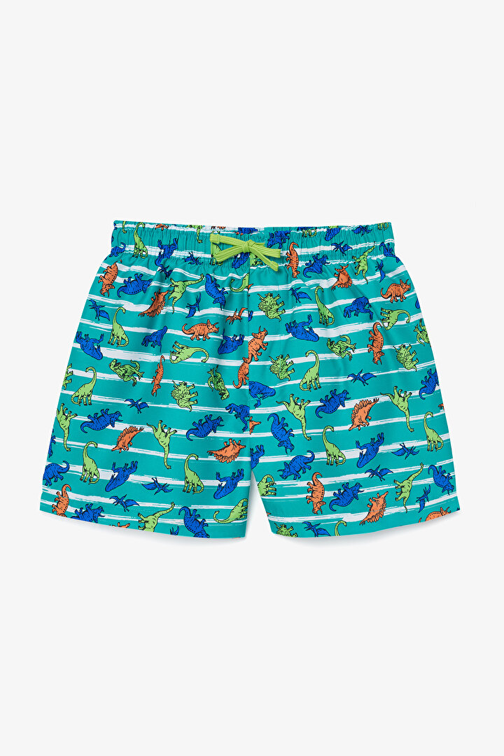 Boys Striped Dinosaur Multi Colour Short - 1