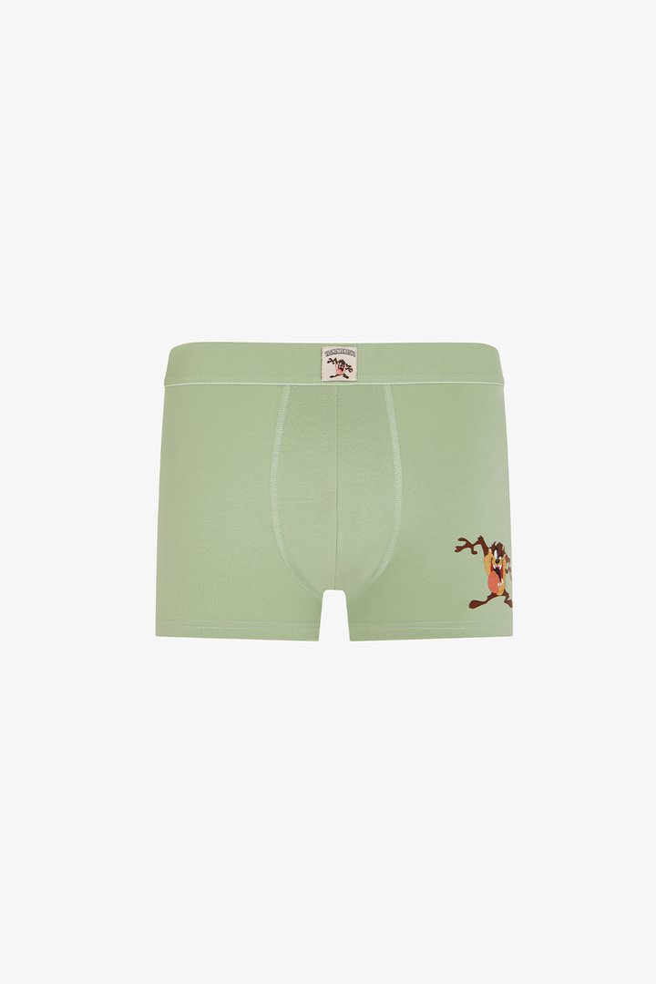 Erkek Tasmanian Tazmania Desenli 2'li Boxer - 2