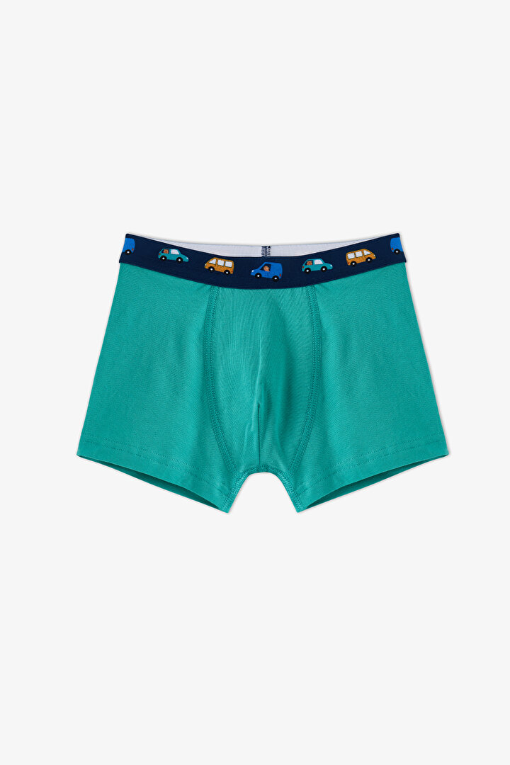Boys' Capybaras With Cars Car Patterned 3-Pack Boxers - 2